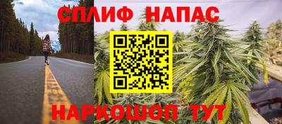Альфа ПВП Кандалакша