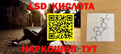Альфа ПВП Кандалакша