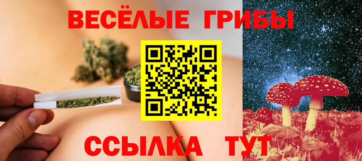 Кудрово  Псилоцибиновые грибы Psilocybe  Вход с VPN  Псилоцибиновые грибы Magic Shrooms 