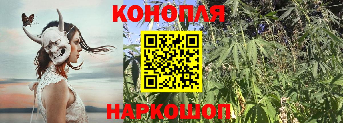 Конопля план  Шишки марихуана Bruce Banner  Марихуана VHQ  Кудрово  Вход с VPN  Бошки Шишки MAZAR 